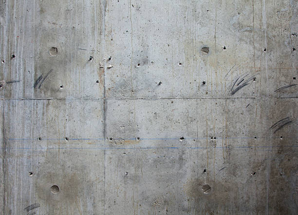 Best Concrete Sealing and Maintenance in Martha Lake, WA